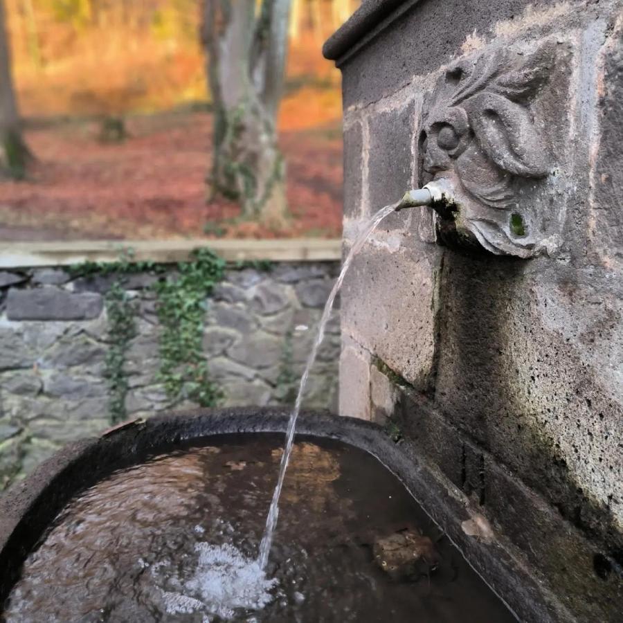 Gites Le Vieux Vinzelles Volvic Exterior foto