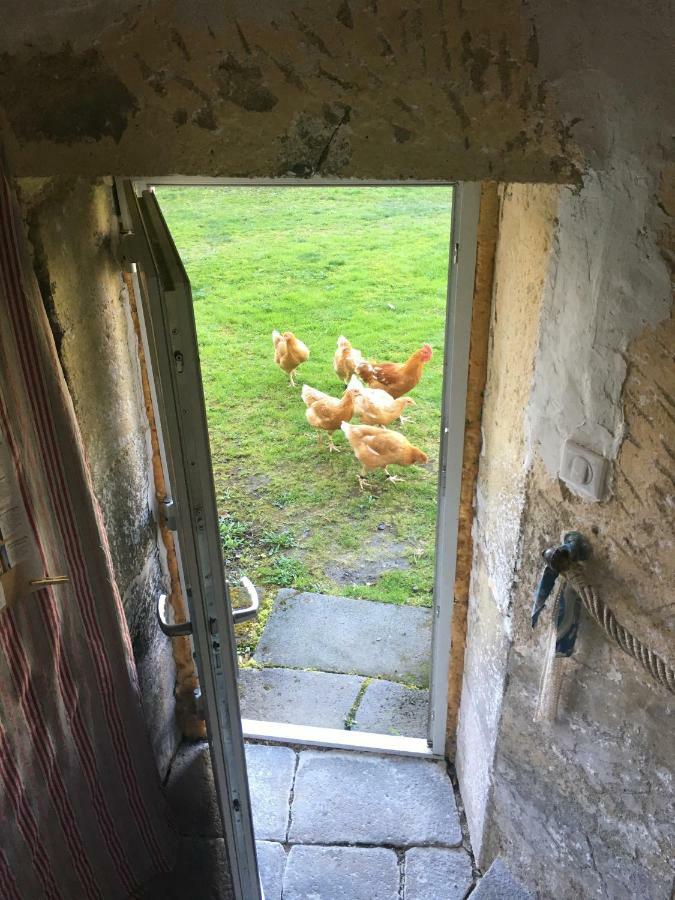 Gites Le Vieux Vinzelles Volvic Exterior foto